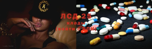 ПСИЛОЦИБИНОВЫЕ ГРИБЫ Богородск